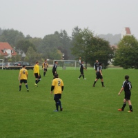 Image_2120293341