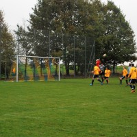 Image_2016729341